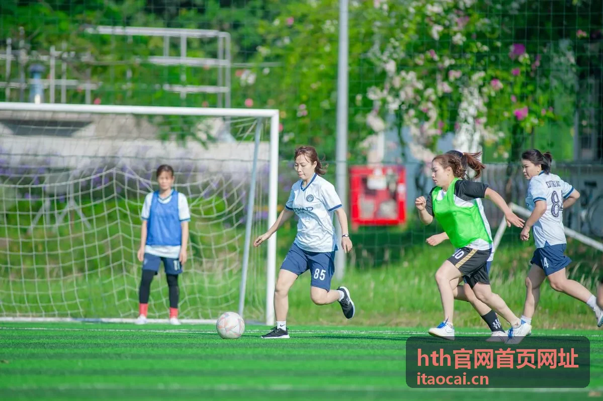 hth官网首页网址服务分类说明