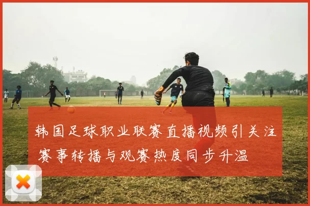 韩国足球职业联赛直播视频引关注 赛事转播与观赛热度同步升温