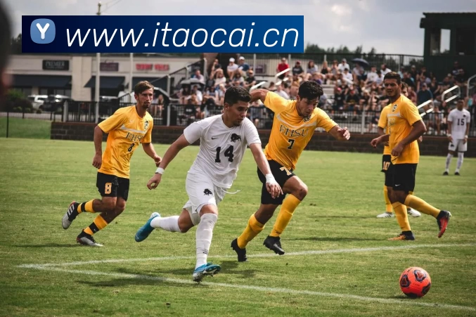 App Interface Preview